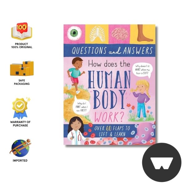 Large Question-And-Answer Flap Book - Human Body