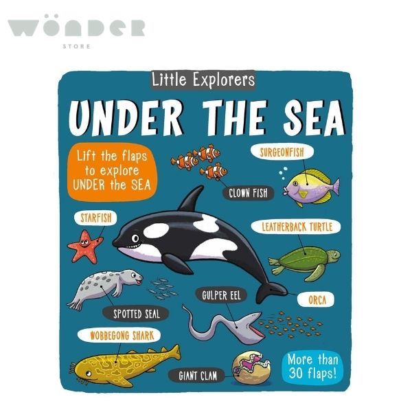 Little Explorers: Under The Sea